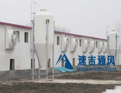 400平方豬舍配水簾風機怎么計算？速吉通風案例詳解